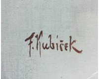 Poloakt
