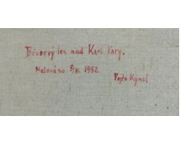 Březový les nad Karlovými Vary