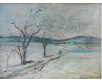 Pohled od Rabasova domu a Krušovická pole v zimě