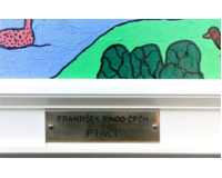 Ptáci - Zvířátka