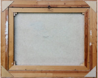 Ptáci - Zvířátka