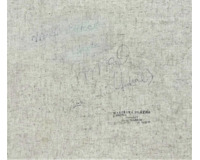 Ptáci - Zvířátka