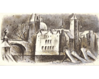 Ptáci - Zvířátka