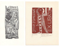 Ptáci - Zvířátka