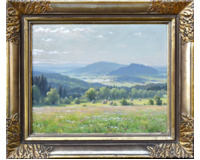 Krajina s rozkvetlou loukou