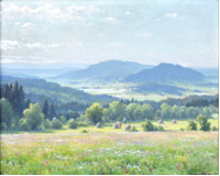 Krajina s rozkvetlou loukou