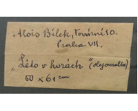 Léto v horách