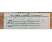 Záření gama