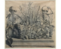 Opera omnia anatomico