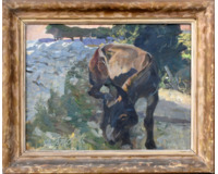 Oslík