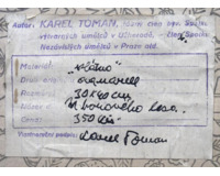 U borového lesa