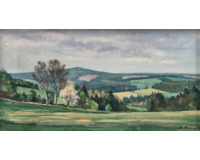 Buchtův kopec (od Blatin)