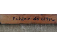 Pohled do nitra