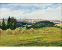 Pohled na Tábor