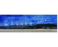 Plesiosaurus  v 21.století