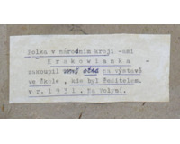 Polka v národním kroji