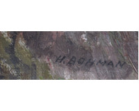 Podzimní Labe