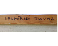 Vesmírné trauma