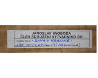 Zima v krajině