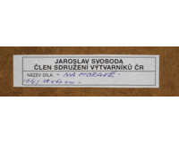 Na Moravě