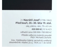 Před Bouří