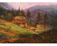 Krajina s pilou