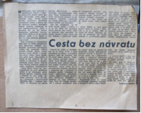 Kobyla s hříbětem