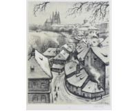 Pražské střechy