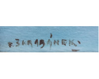 Křemešník - zimní krajina