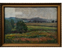 Krajina s rozkvetlou loukou