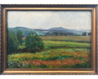 Krajina s rozkvetlou loukou