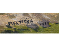 Cesta