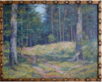 Svítání v lese