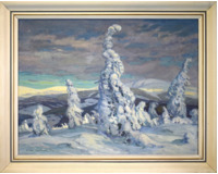 Zima