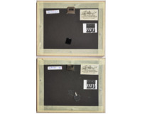 2x Benecko 1916