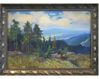 Krkonoše