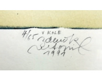 V kole