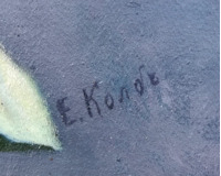 Pivoňky