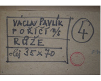 Růže