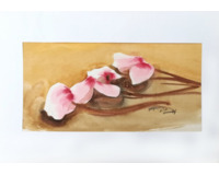 Magnolie