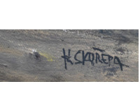 Začátek jara v Tišné