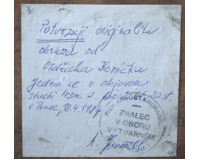 Lesní cesta