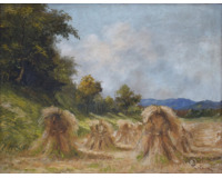 Žně - Přížkov