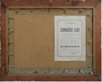 Babiččino údolí - první sníh 1950