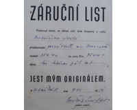 Babiččino údolí - první sníh 1950