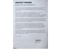 Akt s dlouhými vlasy