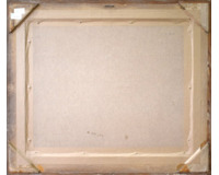 Mezi poli