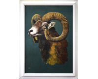 Muflon