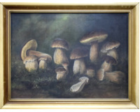 Hříbky