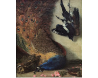 Zátiší s pávem (Cikánova lovecká kořist) - 1861